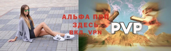 apvp Алзамай
