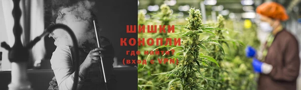 apvp Алзамай
