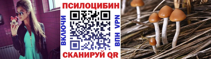 Галлюциногенные грибы GOLDEN TEACHER  Чебоксары 